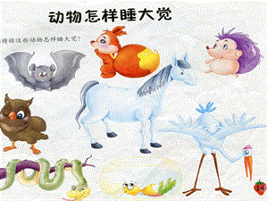 中班科学《动物睡觉》PPT课件教案中班科学《动物睡觉》.pptx
