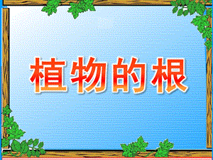 大班科学常识《植物的根》PPT课件教案科学启蒙---植物的根.pptx