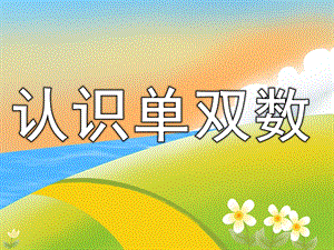 中班《认识单双数》PPT课件教案PPT课件.pptx