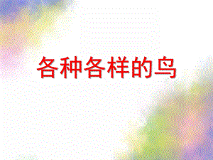 大班科学《各种各样的鸟》PPT课件教案各种各样的鸟.pptx