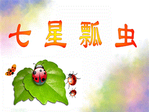 幼儿园美术《七星瓢虫》PPT课件教案音频美术七星瓢虫(1).pptx