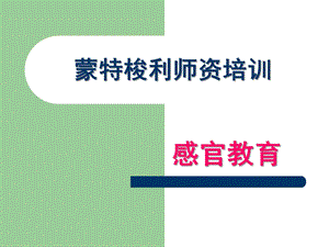 幼儿园蒙特梭利感官培训PPT课件蒙特梭利师资培训.感官ppt.pptx