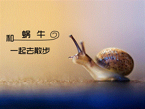大班语言《和蜗牛一起去散步》PPT课件和蜗牛一起去散步(1).pptx