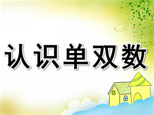 大班《认识单双数》PPT课件教案PPT课件.pptx