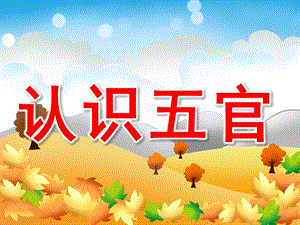 幼儿园《认识五官》PPT课件教案PPT课件.pptx