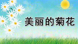幼儿园科学《美丽的菊花》PPT课件教案科学《美丽的菊花》.pptx