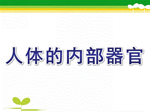 幼儿园主题《人体的内部器官》PPT课件幼儿园主题课：人体的内部器官.pptx