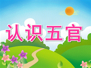 幼儿园说课《认识五官》PPT课件教案PPT课件.ppt