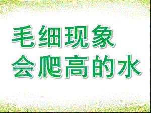 大班科学《毛细现象——会爬高的水》PPT课件教案毛细现象——会爬高的水.pptx