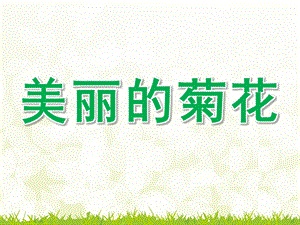 小班科学《美丽的菊花》PPT课件教案small82ab9b3942d28c356dfbe38387b482d4.pptx