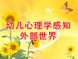 幼儿心理学感知外部世界PPT课件幼儿心理学第四章感知外部世界.pptx