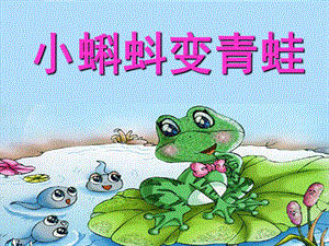 幼儿园科学《小蝌蚪变青蛙》PPT课件教案科学：小蝌蚪变青蛙分析.pptx