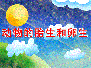 幼儿园《动物的胎生和卵生》PPT课件教案PPT课件.ppt