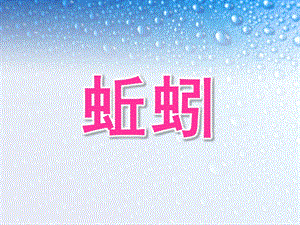 幼儿园科学活动蚯蚓PPT课件0bddece7a0c7aa00b52acfc789eb172ded63999a.ppt