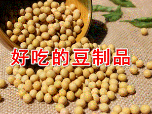 中班科学《好吃的豆制品》PPT课件教案中班科学：好吃的豆制品.pptx