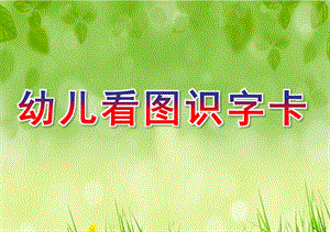 幼儿看图识字卡PPT课件幼儿看图识字卡.pptx