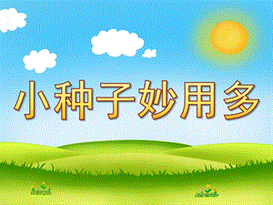 中班科学《小种子妙用多》PPT课件小种子妙用多.pptx