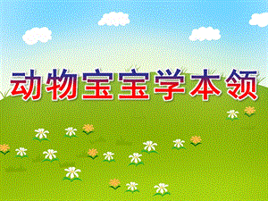 中班科学《动物宝宝学本领》PPT课件教案动物宝宝学本领.pptx