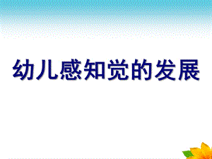 幼儿感知觉的发展PPT课件ppt.pptx