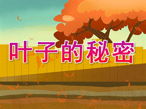 大班科学《叶子的秘密》PPT课件教案PPT课件.pptx