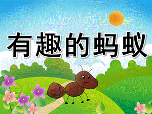 中班科学《有趣的蚂蚁》PPT课件教案PPT课件.pptx