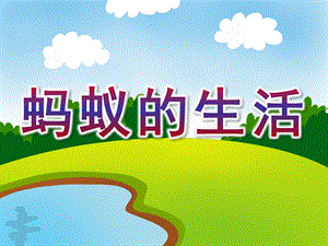 大班科学《蚂蚁的生活》PPT课件教案大班科学-蚂蚁的生活.pptx