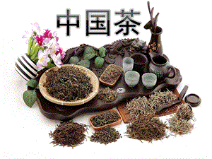 大班社会活动《中国茶》PPT课件教案大班社会活动：中国茶.pptx