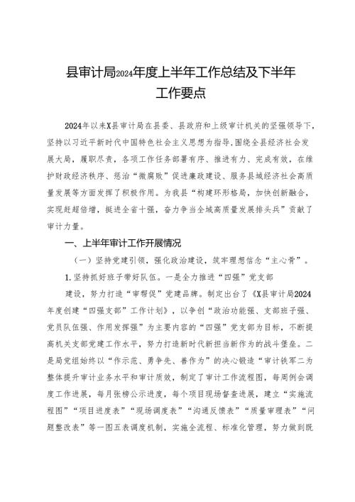县审计局2024年度上半年工作总结及下半年工作要点.docx