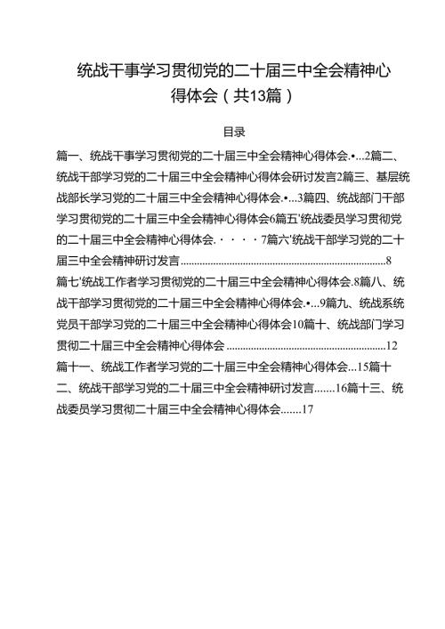 （13篇）统战干事学习贯彻党的二十届三中全会精神心得体会（最新版）.docx