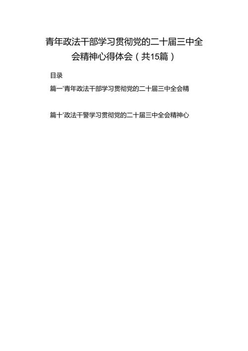 （15篇）青年政法干部学习贯彻党的二十届三中全会精神心得体会范文.docx