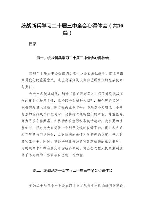 （10篇）统战新兵学习二十届三中全会心得体会范文.docx