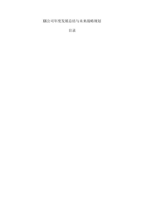 XX公司年度发展总结与未来战略规划.docx