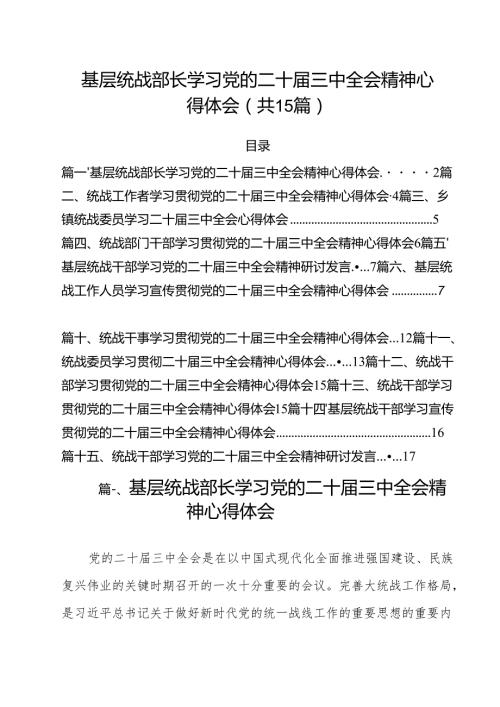 （15篇）基层统战部长学习党的二十届三中全会精神心得体会（详细版）.docx