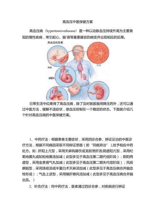 高血压中医保健方案 97G.docx