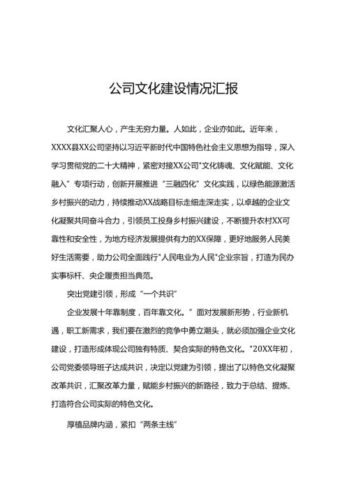 公司文化建设情况汇报.docx