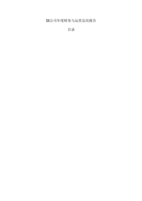 XX公司年度财务与运营总结报告.docx