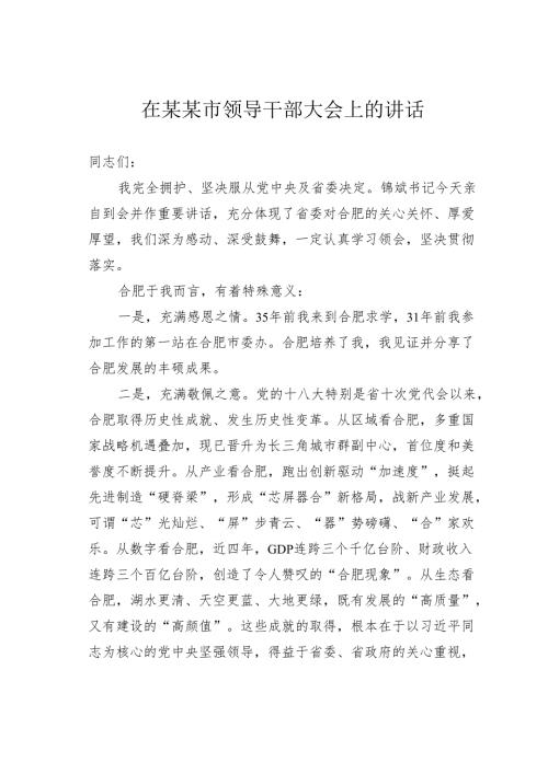 在某某市领导干部大会上的讲话.docx