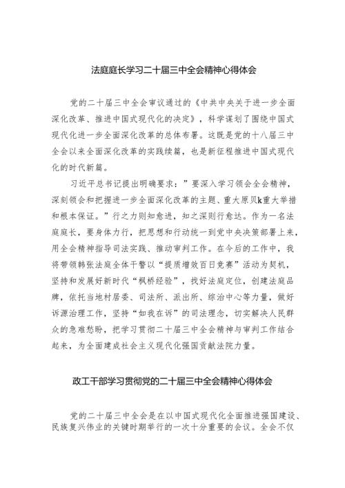 法庭庭长学习二十届三中全会精神心得体会（共五篇）.docx