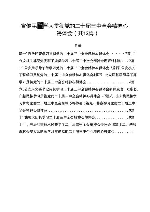 宣传民警学习贯彻党的二十届三中全会精神心得体会12篇（详细版）.docx