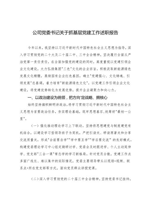 3篇 2024年公司党委书记关于抓基层党建工作述职报告.docx