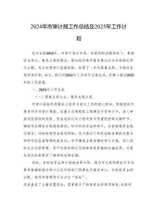 2024年市审计局工作总结及2025年工作计划.docx