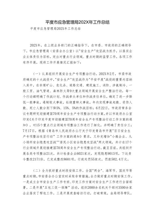 平度市应急管理局202X年工作总结.docx