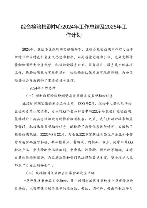 综合检验检测中心2024年工作总结及2025年工作计划3篇.docx