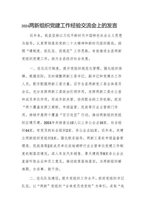 2024两新组织党建工作经验交流会上的发言.docx