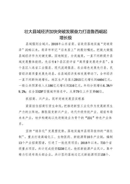 壮大县域经济 加快突破发展奋力打造鲁西崛起增长极.docx