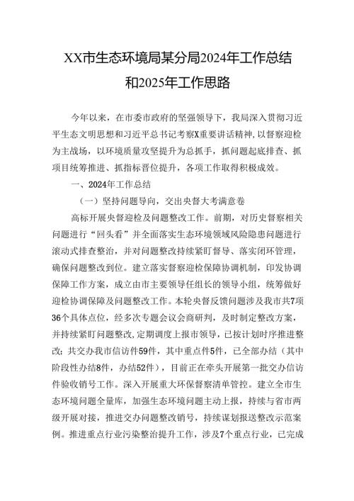 市生态环境局某分局2024年工作总结和2025年工作思路.docx