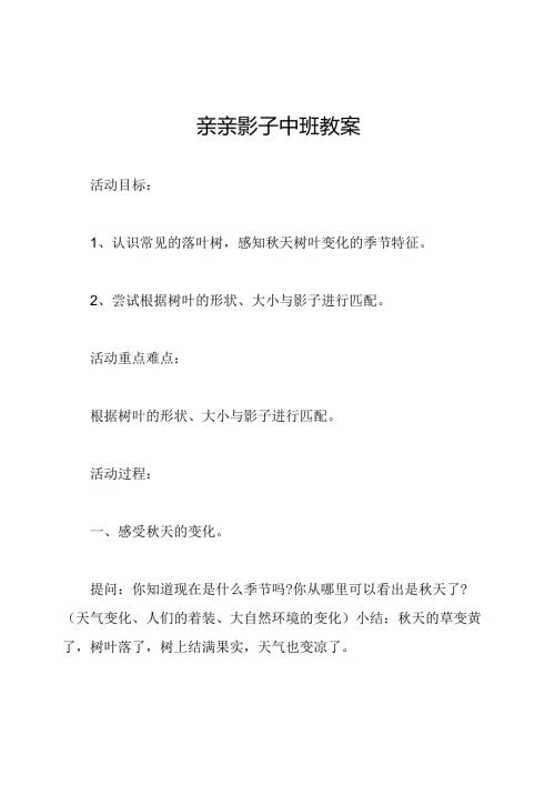 亲亲影子中班教案.docx