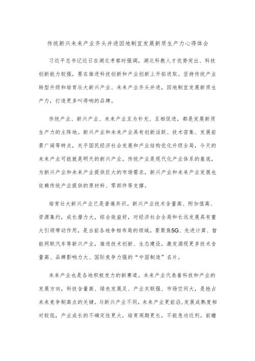 传统新兴未来产业齐头并进因地制宜发展新质生产力心得体会.docx