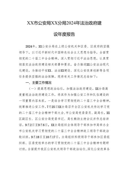 XX市公安局XX分局2024年法治政府建设年度报告（20241125）.docx