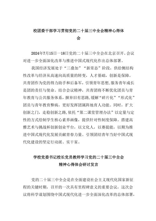（9篇）校团委干部学习贯彻党的二十届三中全会精神心得体会范文.docx